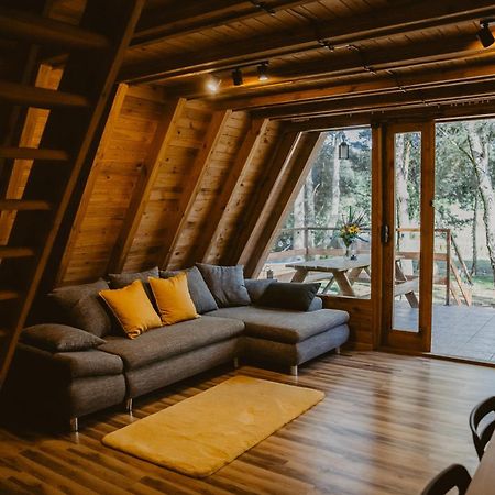 Mesa Summer House Zakrzewo  エクステリア 写真